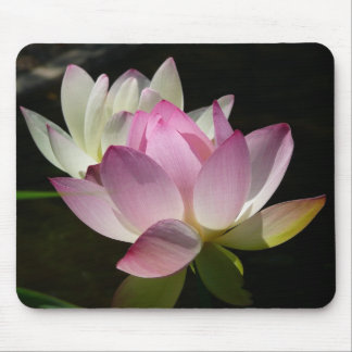 Alfombrilla De Ratón Pareja de flores de Lotus II