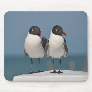 Alfombrilla De Ratón Pareja de gaviotas de cabeza negra