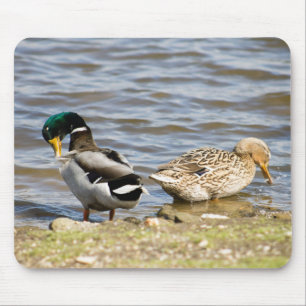 Alfombrilla De Ratón Pareja de pato mallard