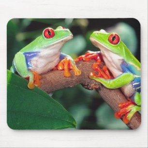 Alfombrilla De Ratón Pareja de ranas de ojos rojos, Agalychinis callidr