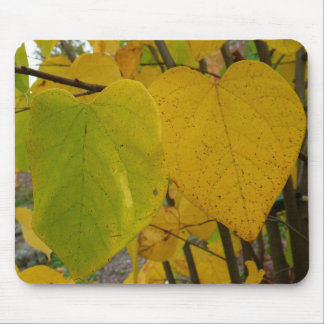 Alfombrilla De Ratón Pareja de Redbud otoño deja fotografía de otoño
