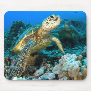 Alfombrilla De Ratón Pares de la tortuga