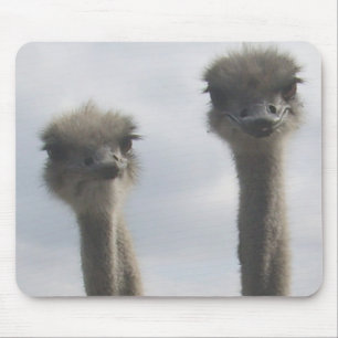 Alfombrilla De Ratón Pares Mousepad de la avestruz