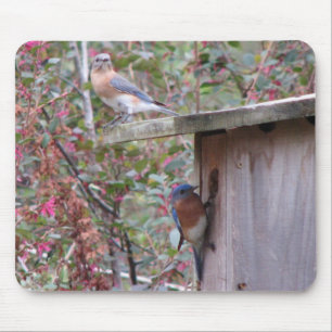 Alfombrilla De Ratón Pares Mousepad del Bluebird