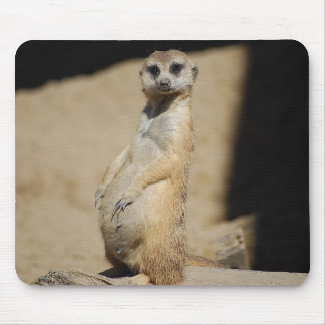 Alfombrilla De Ratón ¿Parezco gordo? (Frente)