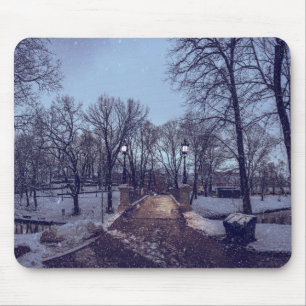 Alfombrilla De Ratón Parque de la ciudad nevada de invierno por la noch