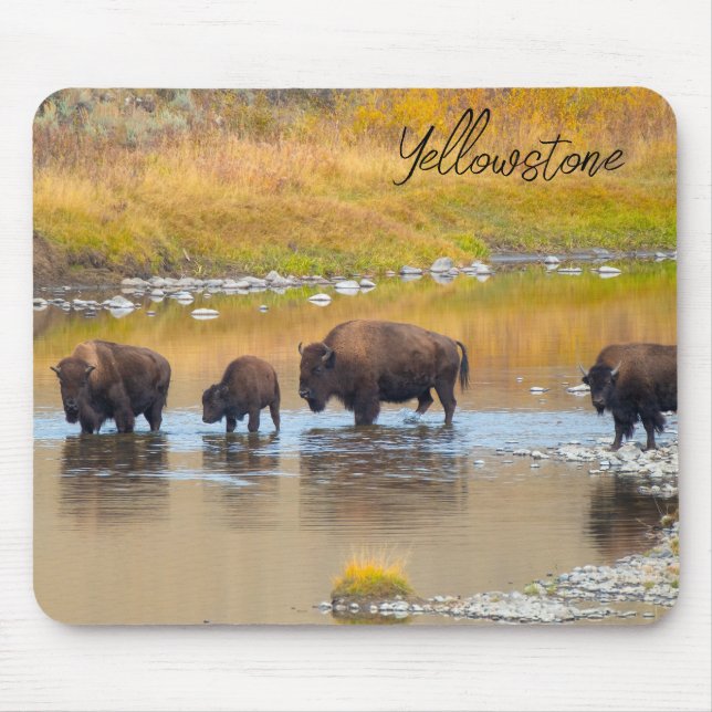 Alfombrilla De Ratón Parque nacional Bison River Crossing Yellowstone (Frente)