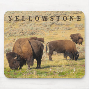 Alfombrilla De Ratón Parque nacional de Lamar Valley Bison Yellowstone