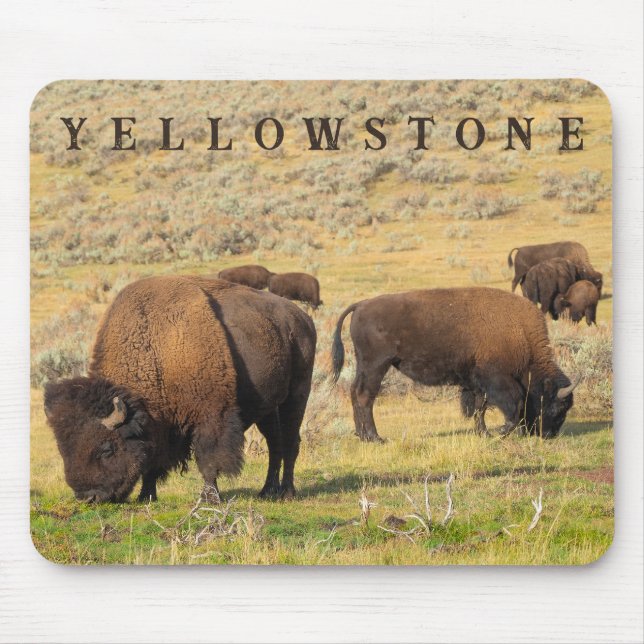 Alfombrilla De Ratón Parque nacional de Lamar Valley Bison Yellowstone (Frente)