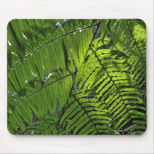 Alfombrilla De Ratón Parque nacional de las mamáes de Bach