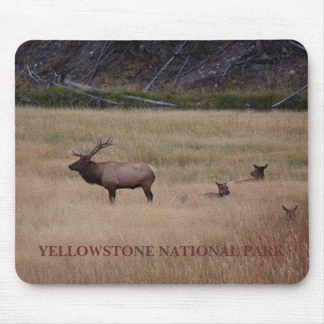 ALFOMBRILLA DE RATÓN PARQUE NACIONAL DE YELLOWSTONE (Frente)