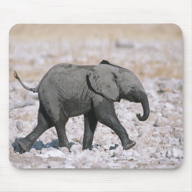 Alfombrilla De Ratón Parque nacional Etosha, Namibia (Frente)