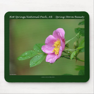 Alfombrilla De Ratón Parque Nacional Hot Springs, AR Regalos Wild Rose