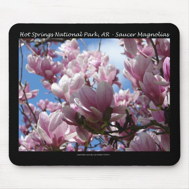 Alfombrilla De Ratón Parque nacional Hot Springs AR Saucer Magnoia Gift (Frente)