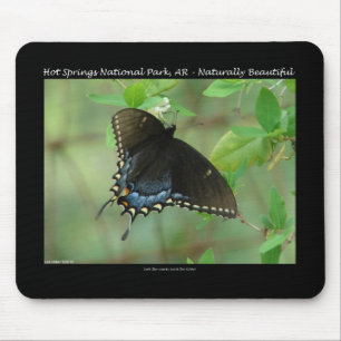 Alfombrilla De Ratón Parque nacional Hot Springs Swallowtail Butterfly