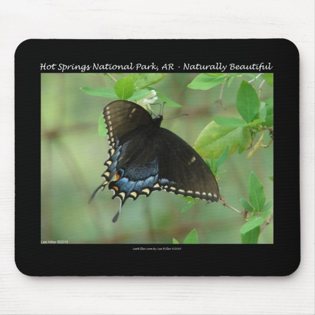 Alfombrilla De Ratón Parque nacional Hot Springs Swallowtail Butterfly (Frente)