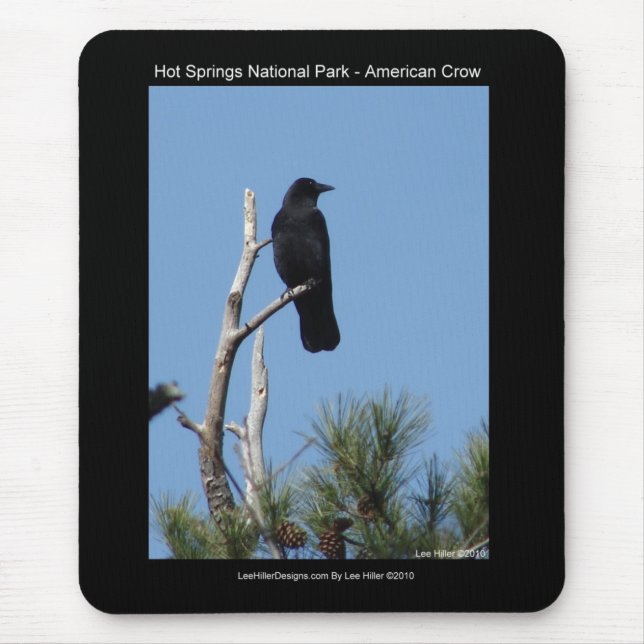 Alfombrilla De Ratón Parque nacional Hots Springs, AR - American Crow (Frente)