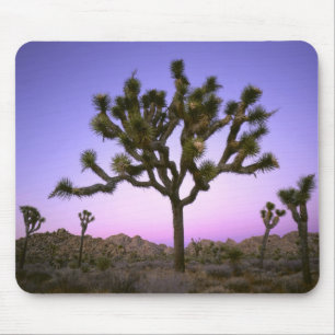 ALFOMBRILLA DE RATÓN PARQUE NACIONAL JOSHUA TREE, CALIFORNIA. EE.UU.