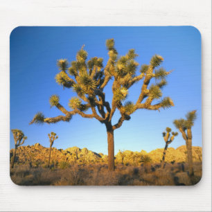 Alfombrilla De Ratón Parque Nacional Joshua Tree, California. EE. UU.