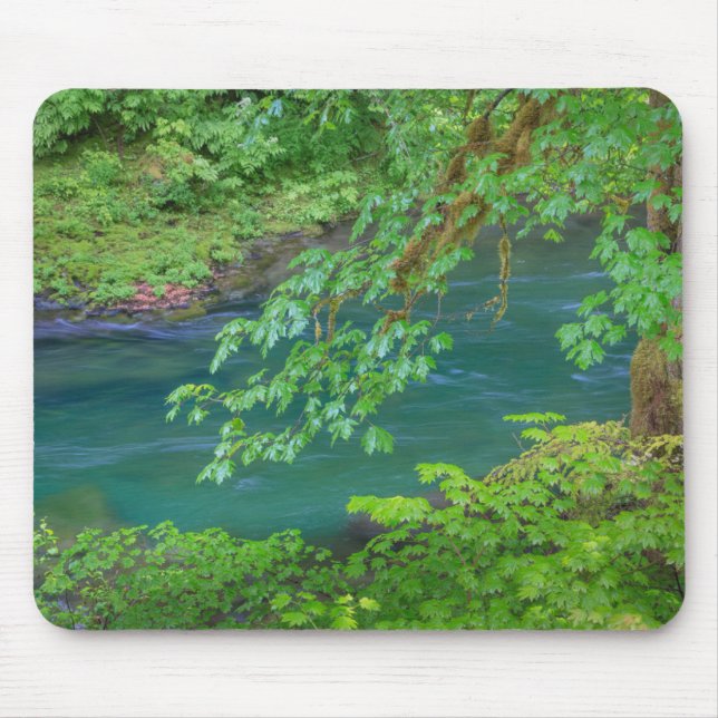 Alfombrilla De Ratón Parque nacional olímpico Estado de Washington (Frente)