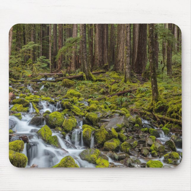 Alfombrilla De Ratón Parque Nacional Olímpico, Estado de Washington (Frente)