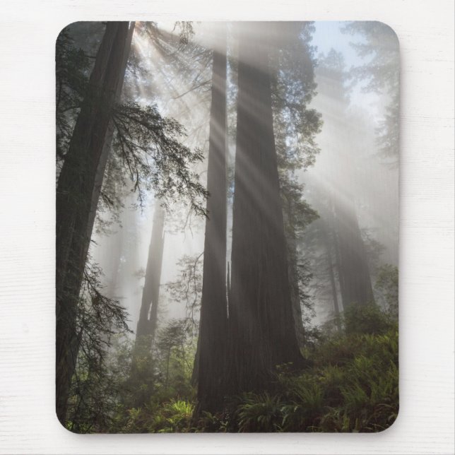 Alfombrilla De Ratón Parque nacional Redwood California (Frente)