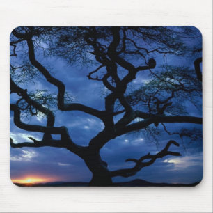 Alfombrilla De Ratón Parque Nacional Serengeti, Tanzania