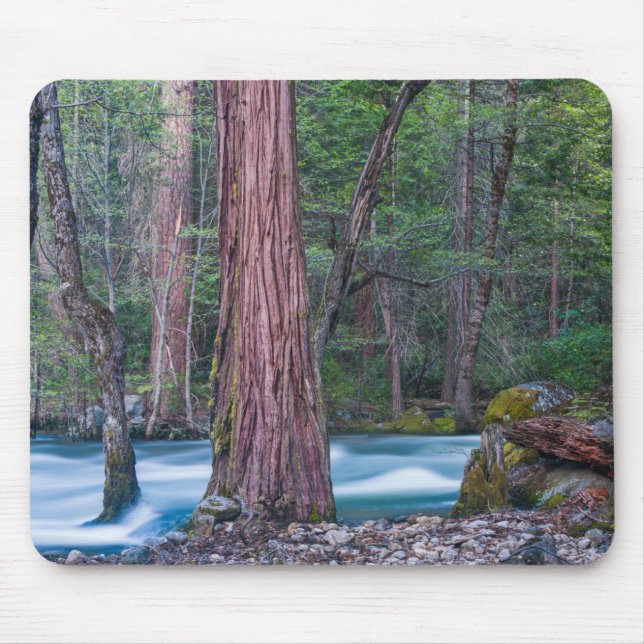 Alfombrilla De Ratón Parque nacional Yosemite Sequoias & Merced River,  (Frente)