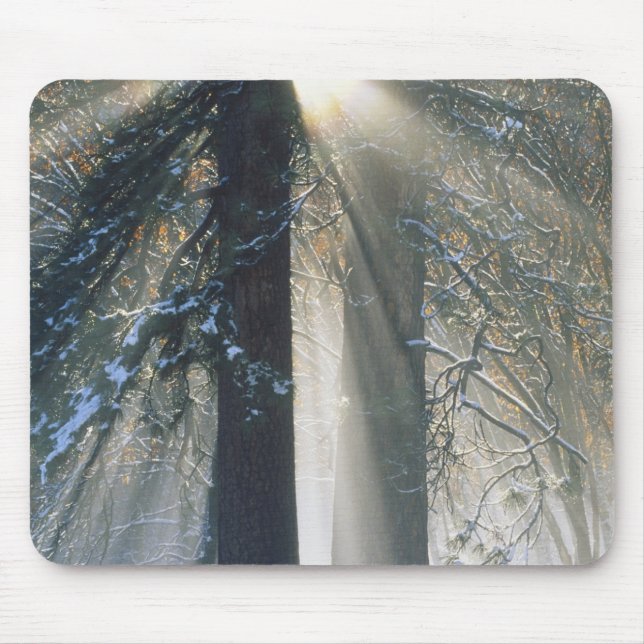 Alfombrilla De Ratón Parque Nacional Yosemite - Transmisión de rayos so (Frente)