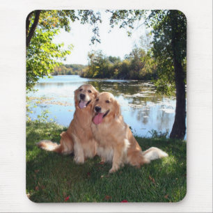 Alfombrilla De Ratón Parque y río Mousepad del golden retriever