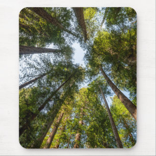 Alfombrilla De Ratón Parques Nacionales y Estatales de Redwood, Califor