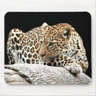 Alfombrilla De Ratón Parroquia leopardo