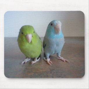 Alfombrilla De Ratón Parrotlet Mousepad