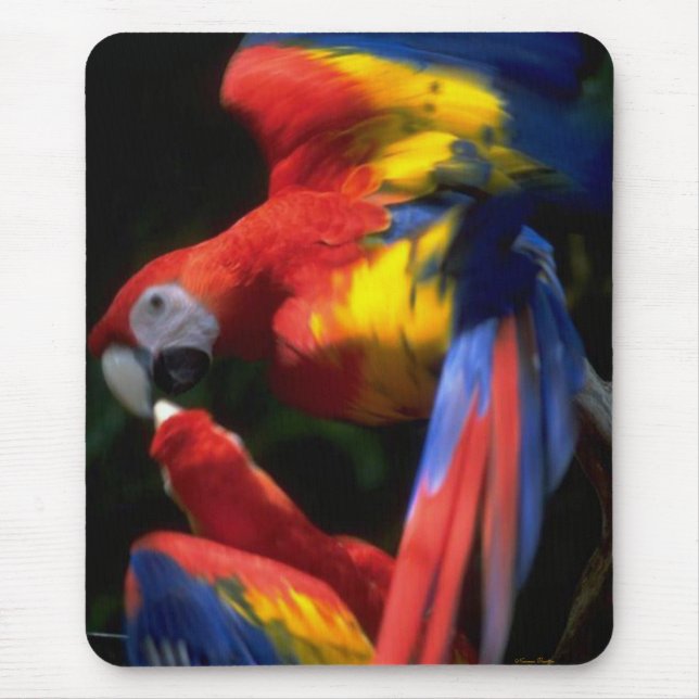 Alfombrilla De Ratón Parrots In Love Mousepad (Frente)