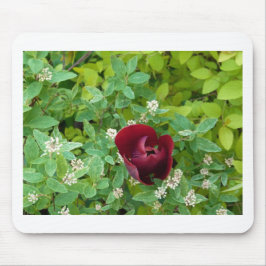 Alfombrilla De Ratón parterre de fleurs au printemps