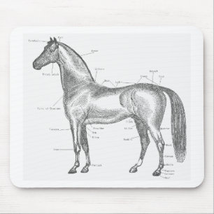 Alfombrilla De Ratón Partes del caballo Mousepad