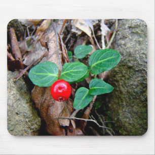 Alfombrilla De Ratón Partridge Berry Wildflower