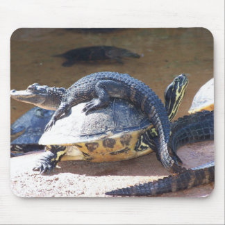 Alfombrilla De Ratón Pase gratis