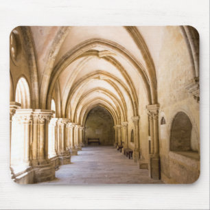 Alfombrilla De Ratón Paseo del Claustro de la Catedral Vieja