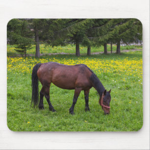 Alfombrilla De Ratón Paso Tihuta, caballo en pastoreo
