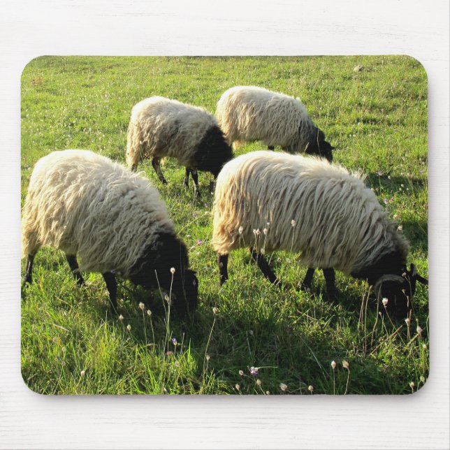 Alfombrilla De Ratón Pasto de ovejas (Frente)