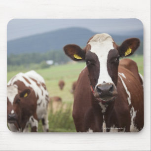 Alfombrilla De Ratón Pasto de vacas