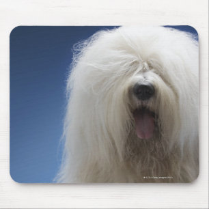 Alfombrilla De Ratón Pastor