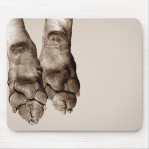 Alfombrilla De Ratón Patas de los perros