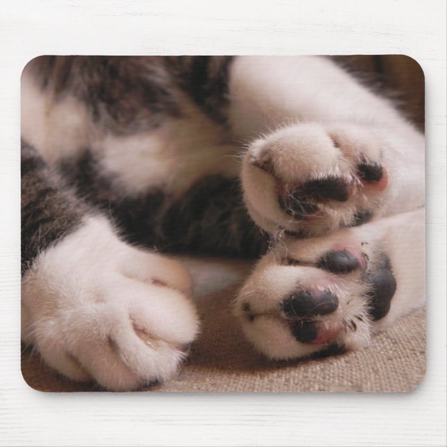 Alfombrilla De Ratón Patas del gatito (Frente)