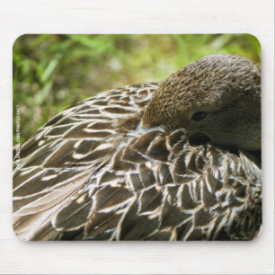Alfombrilla De Ratón Pato