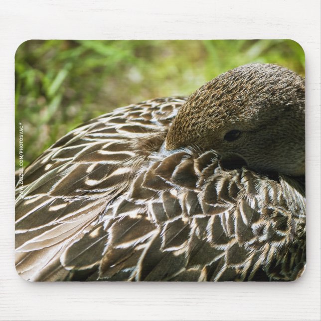 Alfombrilla De Ratón Pato (Frente)