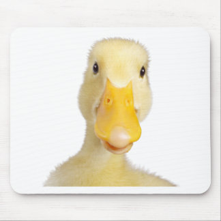 Alfombrilla De Ratón Pato