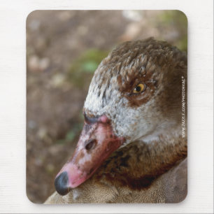 Alfombrilla De Ratón Pato