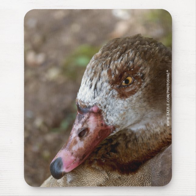 Alfombrilla De Ratón Pato (Frente)